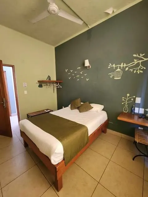 Hotel Plaza Queretaro 3*,